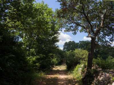 ...o all'agricoltura